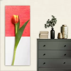 Image of DKY101437964_50120 Multicolor Decorative Canvas Painting