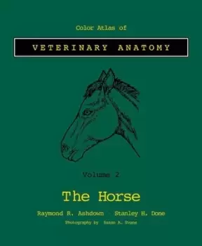 Image of The horse by Raymond R Ashdown