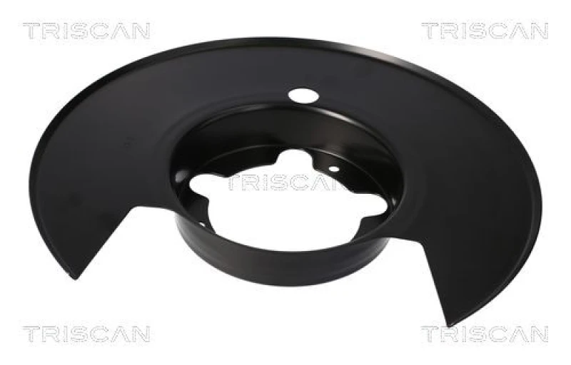 Image of TRISCAN Brake disc backing plate TRISCAN 8125 15209
