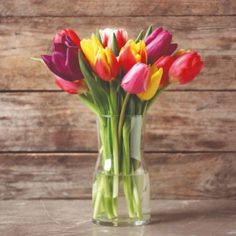 Image of Triumph Mixed Tulip Bulbs - Vibrant Hardy Spring Flowers - Garden & Cutting - 8 Bulbs By Thompson & Morgan