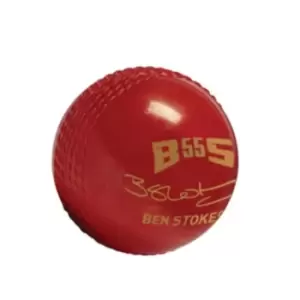 image of Gunn And Moore And Moore BS55 Trubounce Cricket Ball - Red