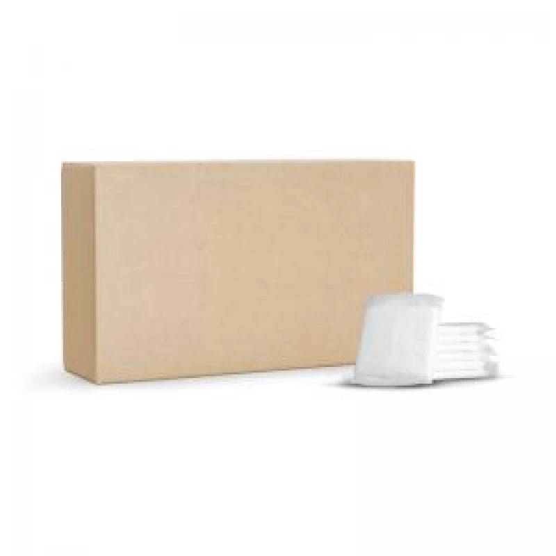 Image of TSL Standard Regular Flow/Day Sanitary Pads with Wings (Pack of 500) RWREGBULK RWREGBULK