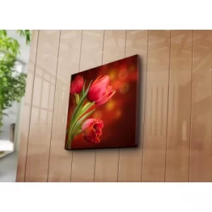 Image of 4545K-38 Multicolor Decorative Canvas Painting