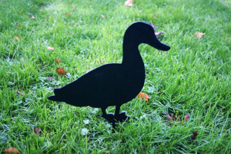 Image of Poppy Forge Duck Facing - Hand Made By Traditional Forge Powder Coated Steel Garden Ornament - Steel - W17.8 X H30.5cm - Black