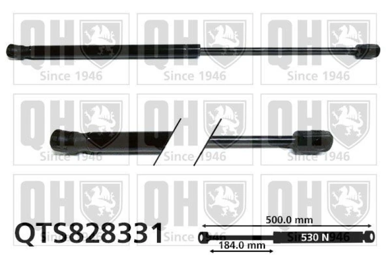 Image of QUINTON HAZELL Tailgate strut QUINTON HAZELL QTS828331