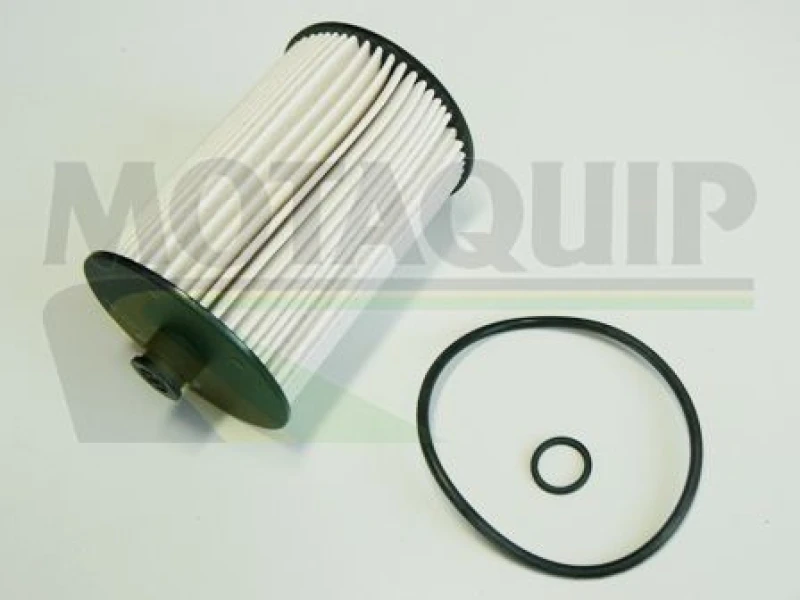 Image of MOTAQUIP Fuel filter MOTAQUIP VFF510