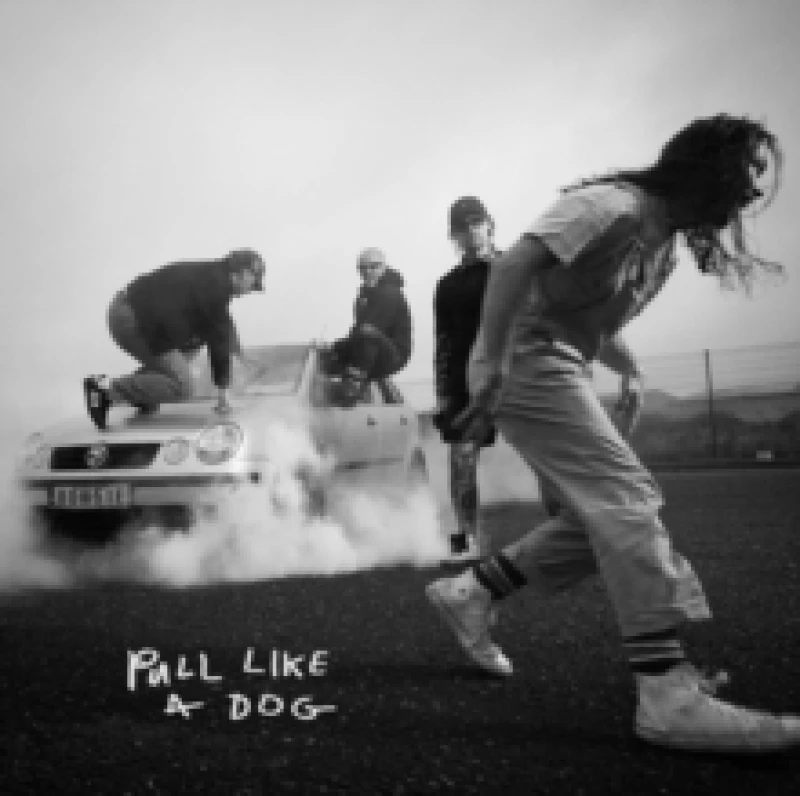 Image of Pull Like a Dog Vinyl