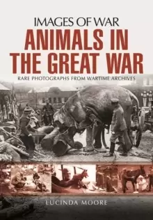 Image of Animals in the Great War