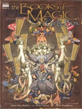 Image of The Books of Magic. Girl in the Box by John Ney Rieber and Peter Snejbjerg and Peter Gross and Nathan Eyring and Sherilyn Van Valkenburgh Paperback