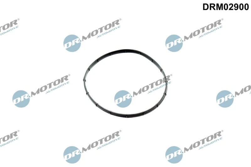 Image of DR.MOTOR AUTOMOTIVE Gasket, vacuum pump DR.MOTOR AUTOMOTIVE DRM02900