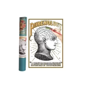 image of Phrenology Colouring Poster In Gift Tube