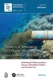 Image of Numerical Simulation of Effluent Discharges : Applications with OpenFOAM