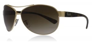 Image of Ray-Ban 3386 Sunglasses Gold 001/13 67mm
