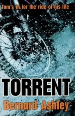 Image of Torrent by Bernard Ashley