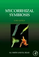 Image of mycorrhizal symbiosis