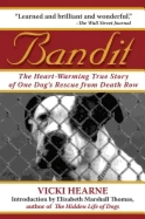 Image of bandit the heart warming true story of one dogs rescue from death row