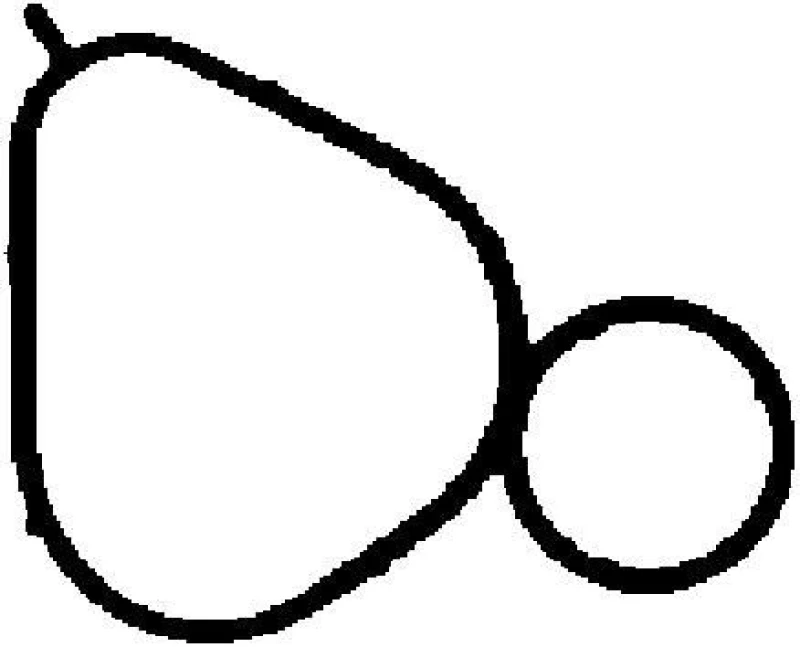 Image of CORTECO 450263P Intake Manifold Gasket Intake Manifold Gasket,intake manifold (42)