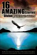 Image of 16 amazing stories of divine intervention
