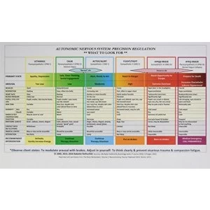 Image of Autonomic Nervous System Table: Laminated Card Cards 2017