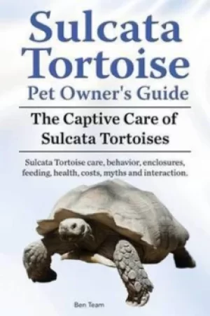 Image of Sulcata Tortoise Pet Owners Guide The Captive Care of Sulcata Tortoises Sulcata Tortoise care behavior enclosures feeding health costs myths and inter