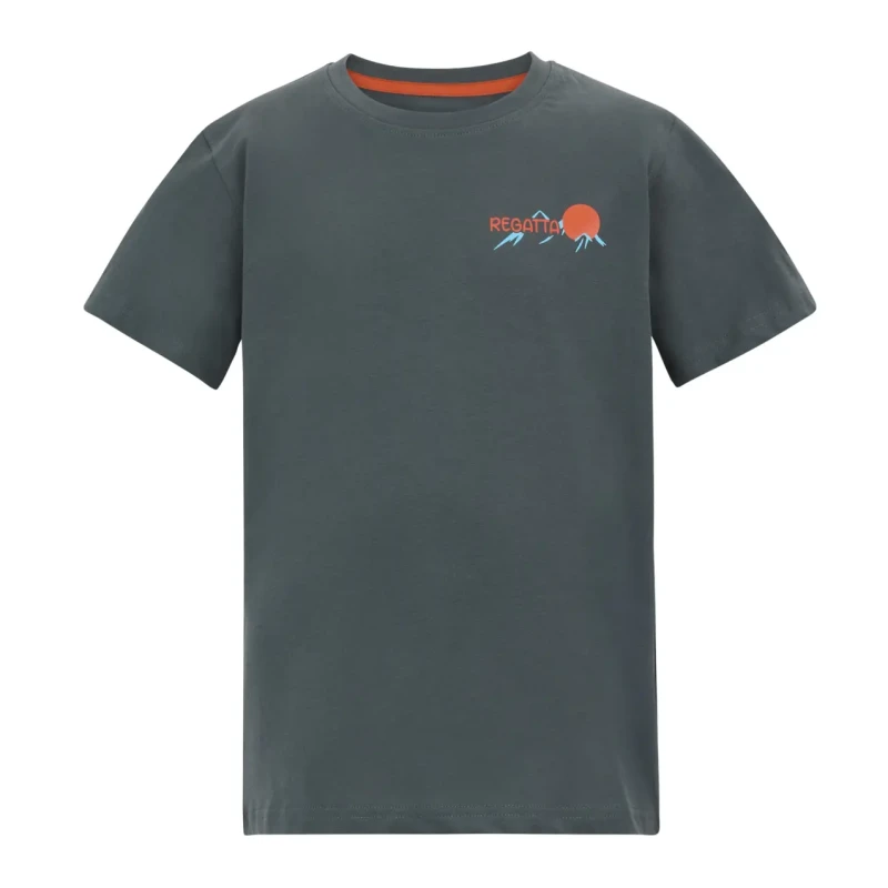Image of Regatta Kid's cotton T-Shirt Regatta Bosley Gris Unisex 7/8 ans