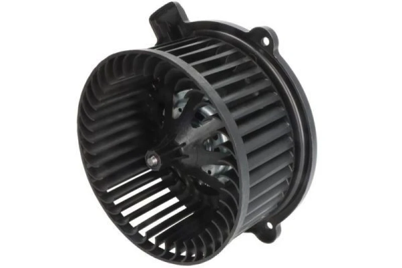 Image of THERMOTEC Blower motor THERMOTEC DD0305TT