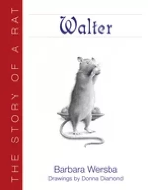 Image of walter the story of a rat