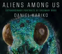 Image of aliens among us extraordinary portraits of ordinary bugs