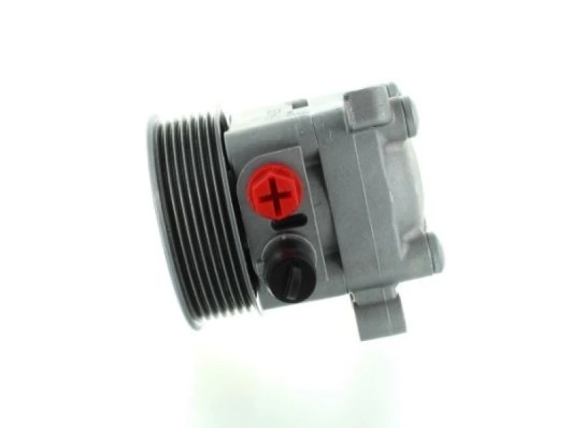 Image of Power steering pump SPIDAN 54888