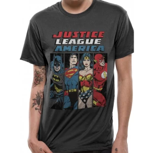 image of Justice League - Line Up Mens Large T-Shirt - Grey