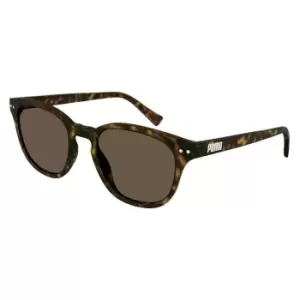 Puma Unisex Sunglasses PE0186S - Brown