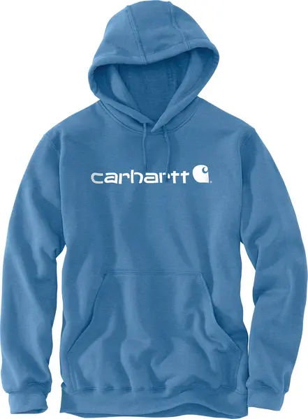 Image of Carhartt Signature Logo Midweight Hoodie, white-blue, Size 2XL