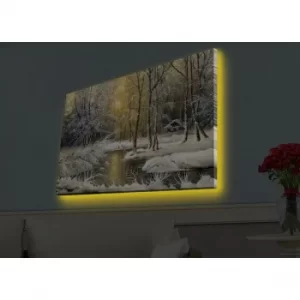 Image of 4570HDACT-055 Multicolor Decorative LED Lighted Canvas Painting