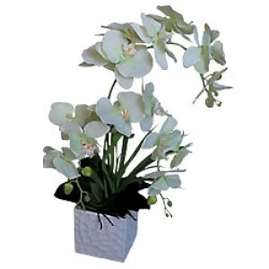 image of Artificial Plant Orchids Plastic 600 mm Green & White