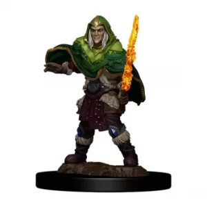 Image of D&D Icons of the Realms Premium Figures (W4) Elf Fighter Male