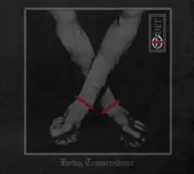 Image of Facing Transcendence