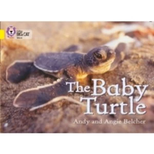 Image of The Baby Turtle : Band 03/Yellow