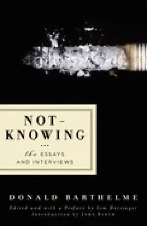 Image of not knowing the essays and interviews