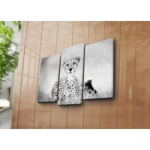 Image of 3NATPAT-18 Multicolor Decorative Canvas Painting (3 Pieces)