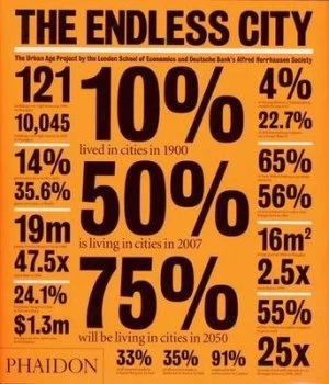 Image of The Endless City by Ricky Burdett Book