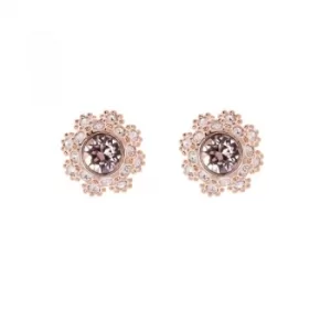 image of Ted Baker Ladies Gold Plated Seraa Crystal Daisy Lace Stud Earring