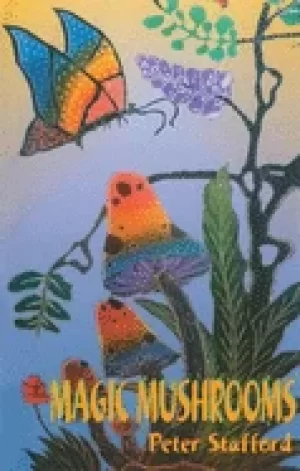 Image of magic mushrooms
