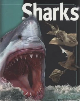 Image of Sharks by Beverly Mcmillan and John a Musick Hardback