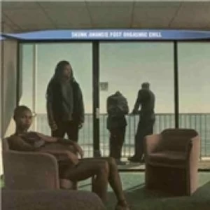 Image of Skunk Anansie Post Orgasmic Chill CD