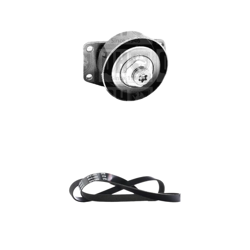 Image of RIDEX 542R1195 V-ribbed belt set V-Ribbed Belt Set (542)