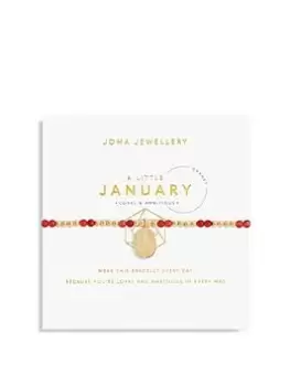 Image of Joma Jewellery A Little January Birthstone Bracelet