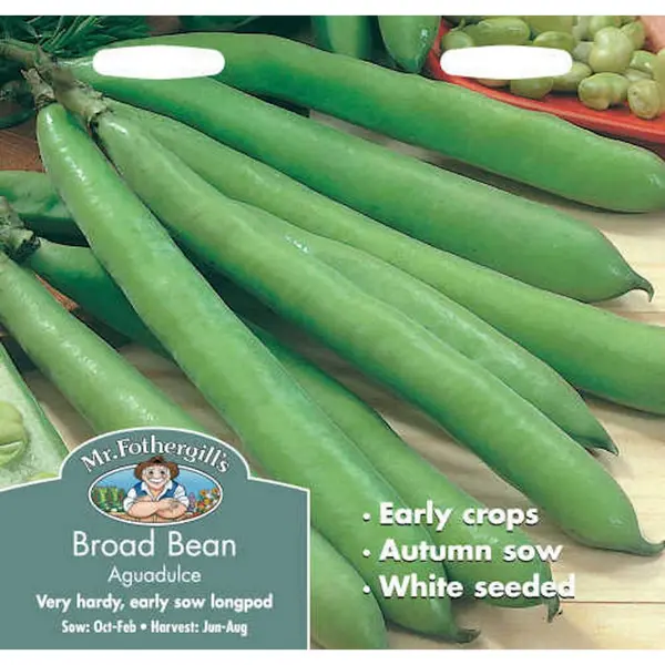 Image of Mr. Fothergill's Broad Bean Aquadulce (Vicia Faba) Seeds
