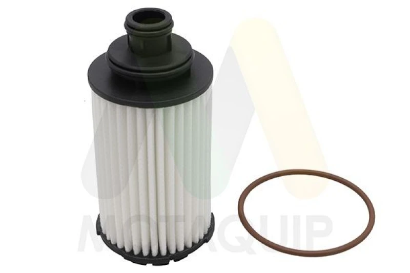 Image of MOTAQUIP Oil filter MOTAQUIP LVFL843