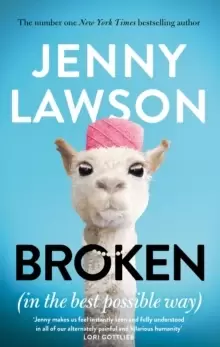 Image of Broken : In the Best Possible Way