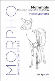 Image of Morpho: Mammals : Elements of Comparative Morphology